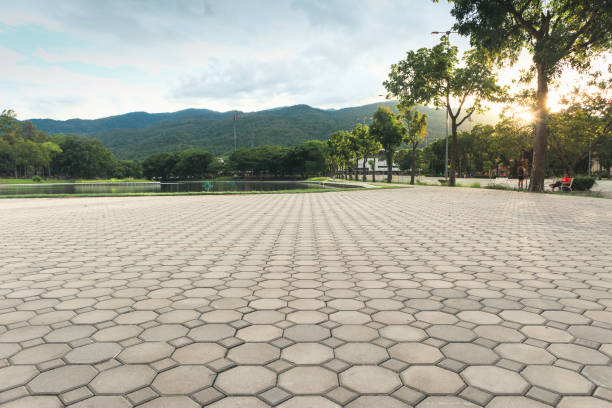 Best Permeable Paver Driveway  in Elm Grove, WI