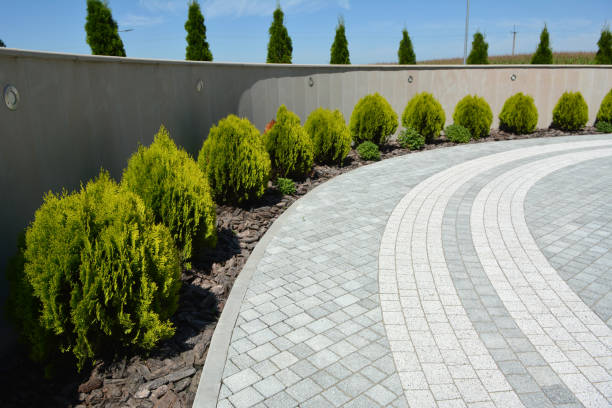 Best Permeable Paver Driveway  in Elm Grove, WI